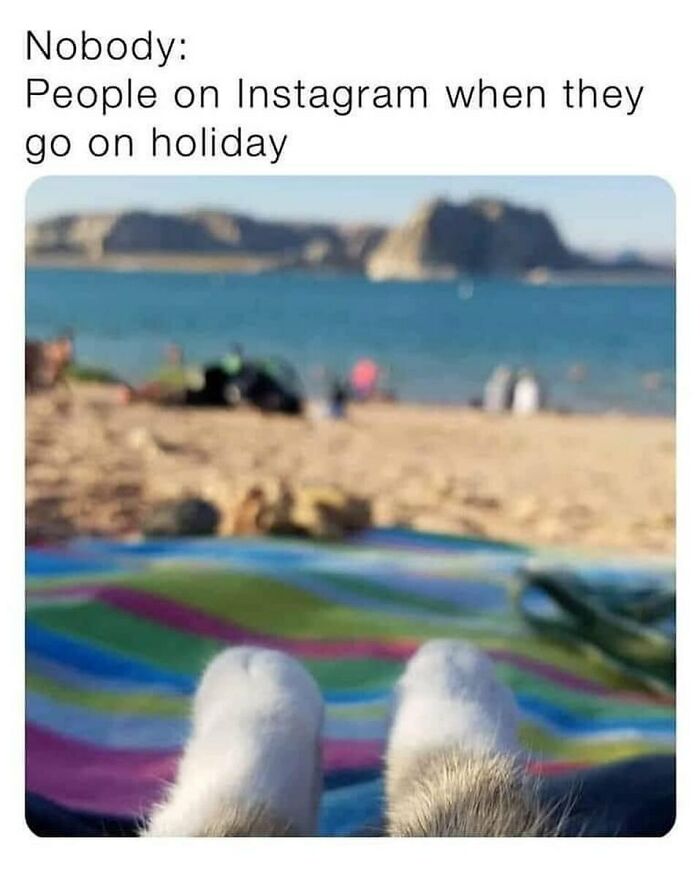 These Travel Memes Are Way Too Real (We Can’t Stop Laughing)