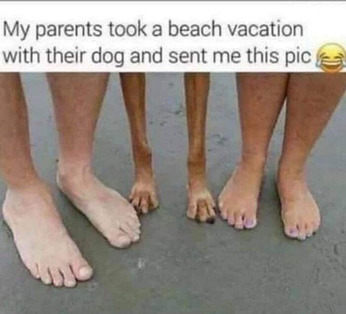 These Travel Memes Are Way Too Real (We Can’t Stop Laughing)