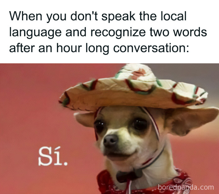 These Travel Memes Are Way Too Real (We Can’t Stop Laughing)