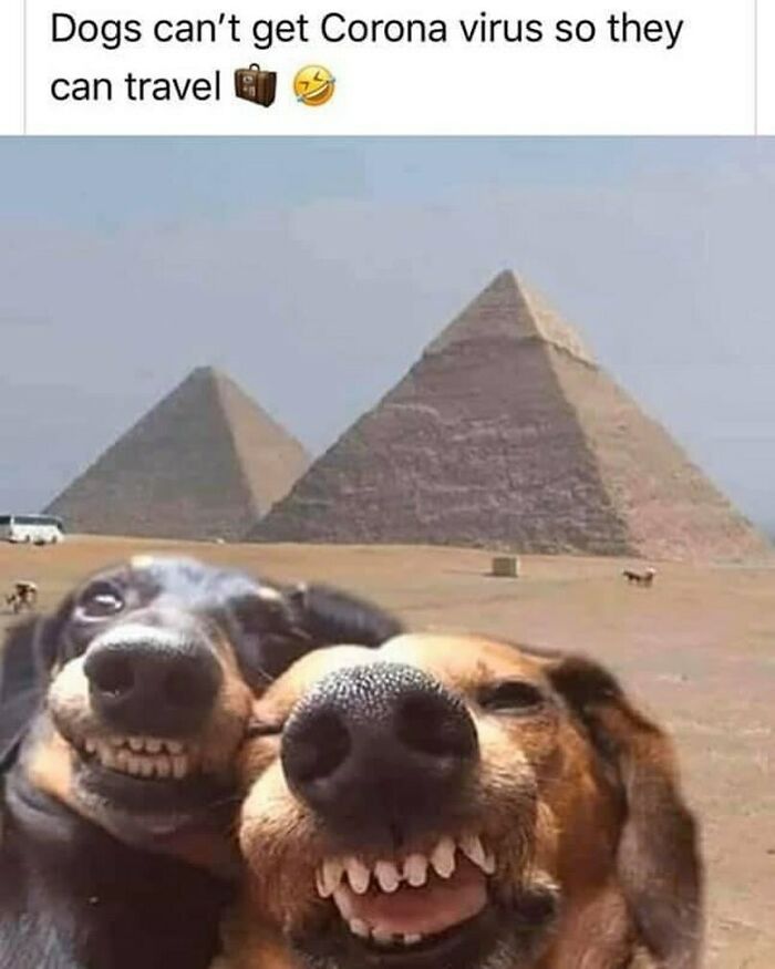 These Travel Memes Are Way Too Real (We Can’t Stop Laughing)