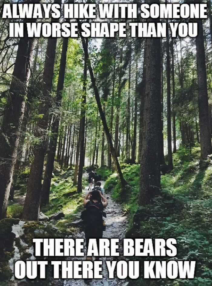 These Travel Memes Are Way Too Real (We Can’t Stop Laughing)