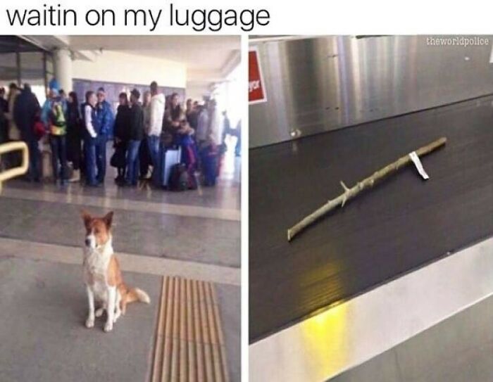 These Travel Memes Are Way Too Real (We Can’t Stop Laughing)