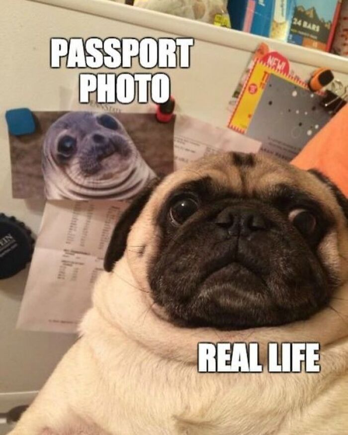 These Travel Memes Are Way Too Real (We Can’t Stop Laughing)