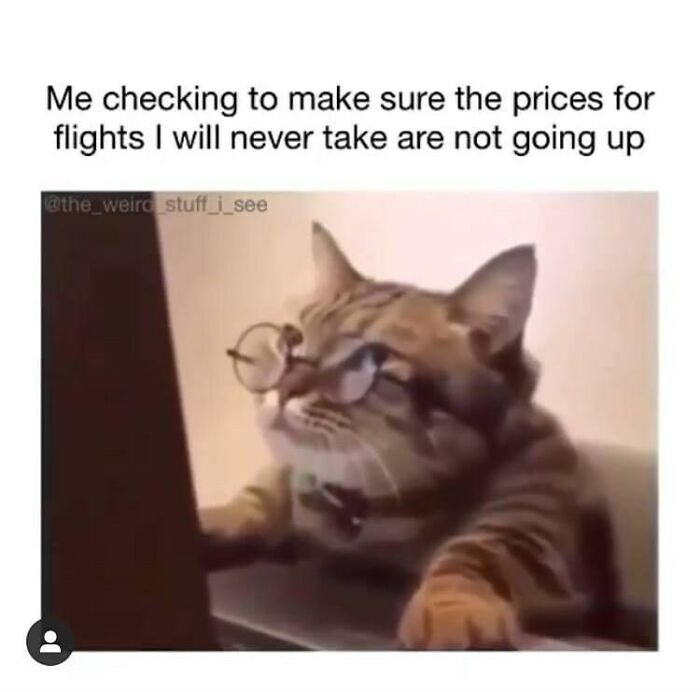 These Travel Memes Are Way Too Real (We Can’t Stop Laughing)
