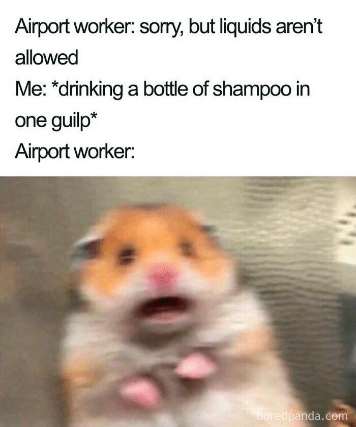 These Travel Memes Are Way Too Real (We Can’t Stop Laughing)