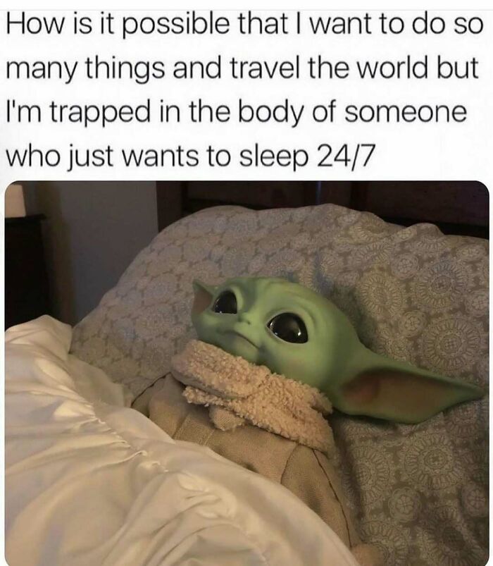 These Travel Memes Are Way Too Real (We Can’t Stop Laughing)