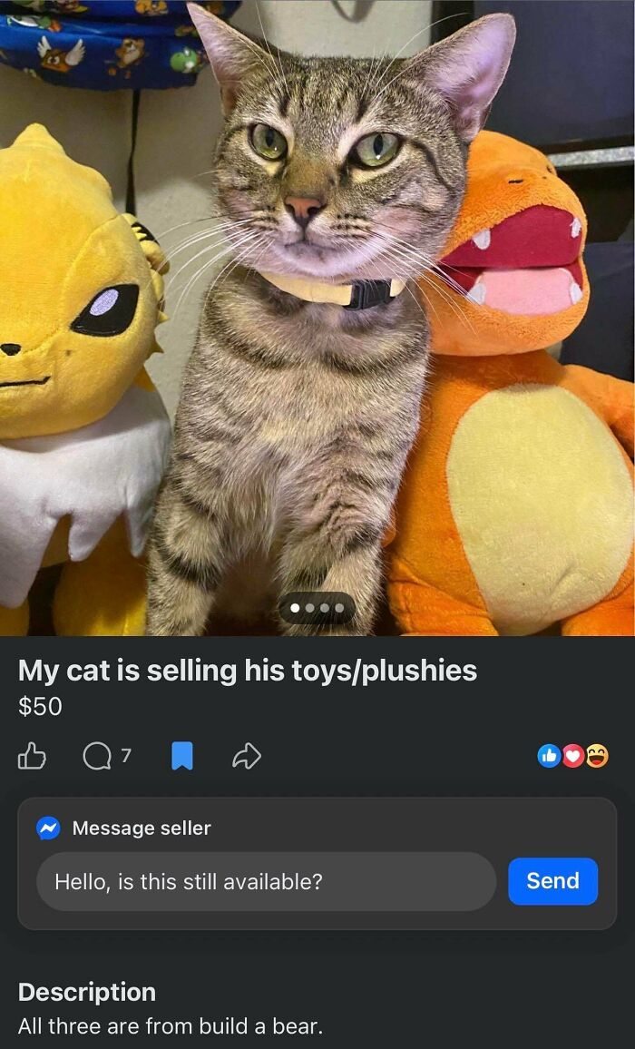 Khajiit Needs Your Coins—No, Really!