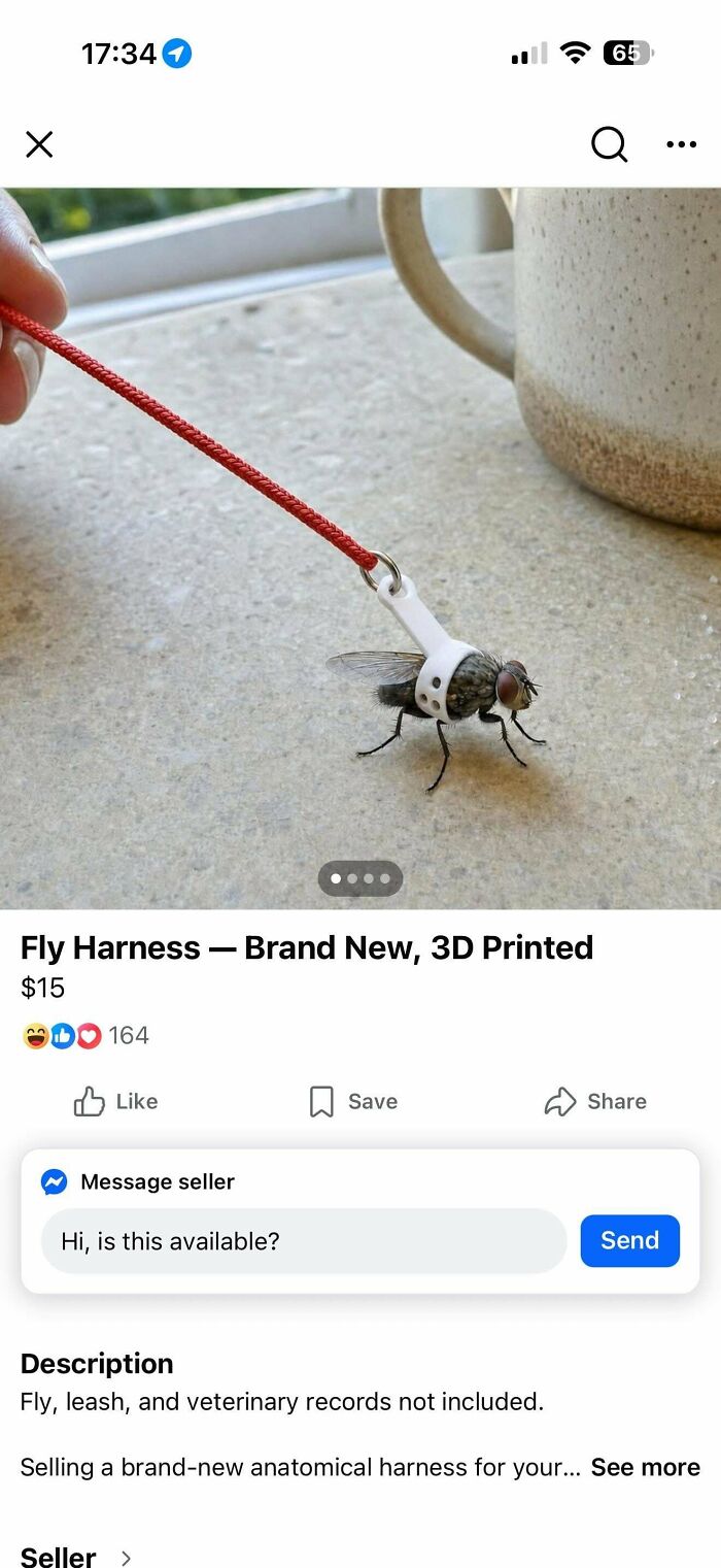 Fly Harness—Because Even Flies Need Restraints