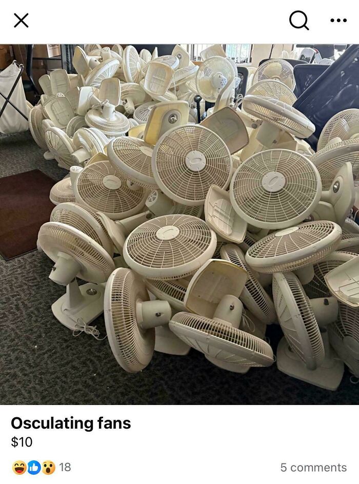 That's a Whole Lot of Fans—And We're Not Talking Cool People