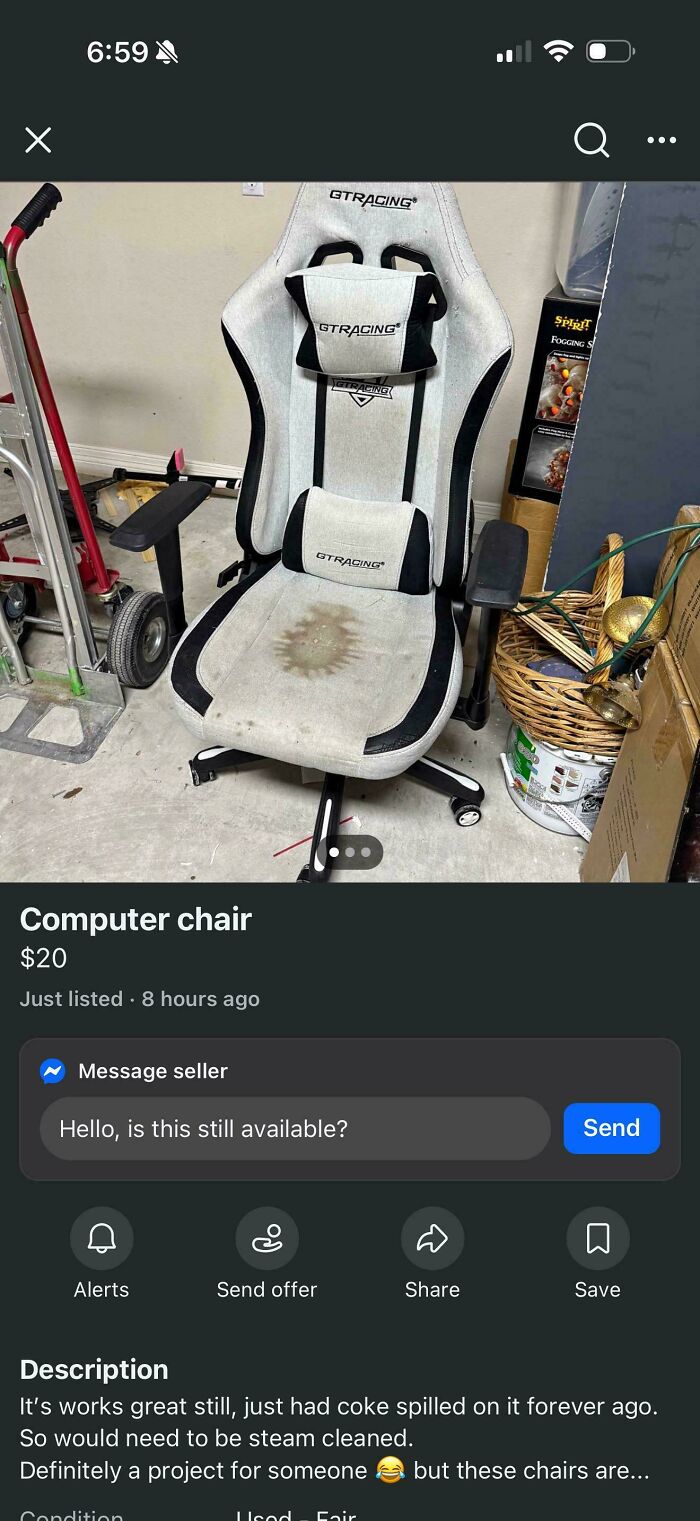 Chair? More Like Throne of Questionable Taste