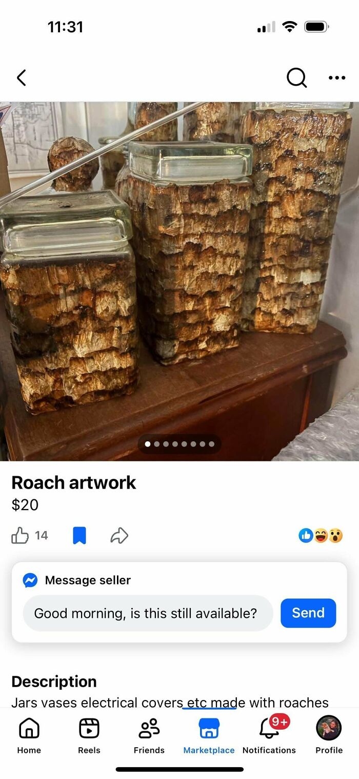 Roach Artwork—Because Why Not Decorate with Bugs?