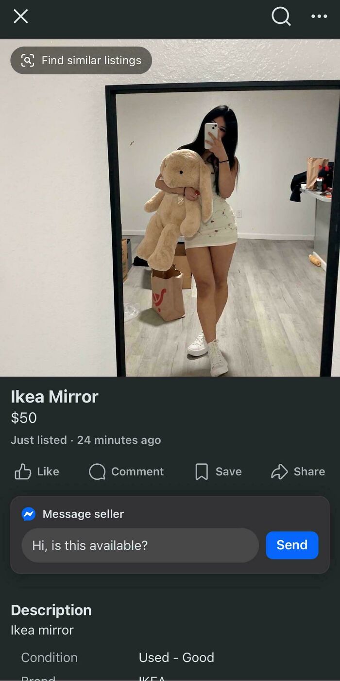 Mirror or Just a Photo of a Mirror? Hmm...