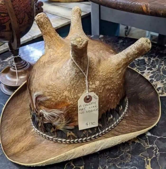 Cowboy Hat or Cow... Wait, What?