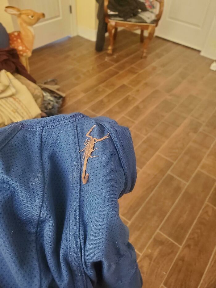 Underwear Check: Not So Much