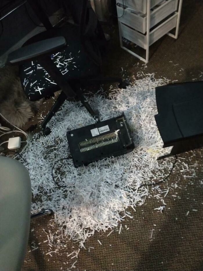 Oops! The Ultimate Collection of 'Why Did I Do That?!' Moments