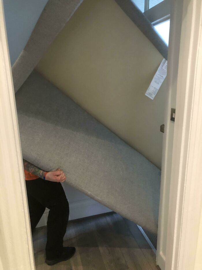 Oops! The Ultimate Collection of 'Why Did I Do That?!' Moments