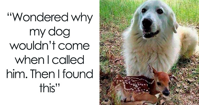 Wait, People Actually Called These Stories Fake? Nope, They’re Totally Real!