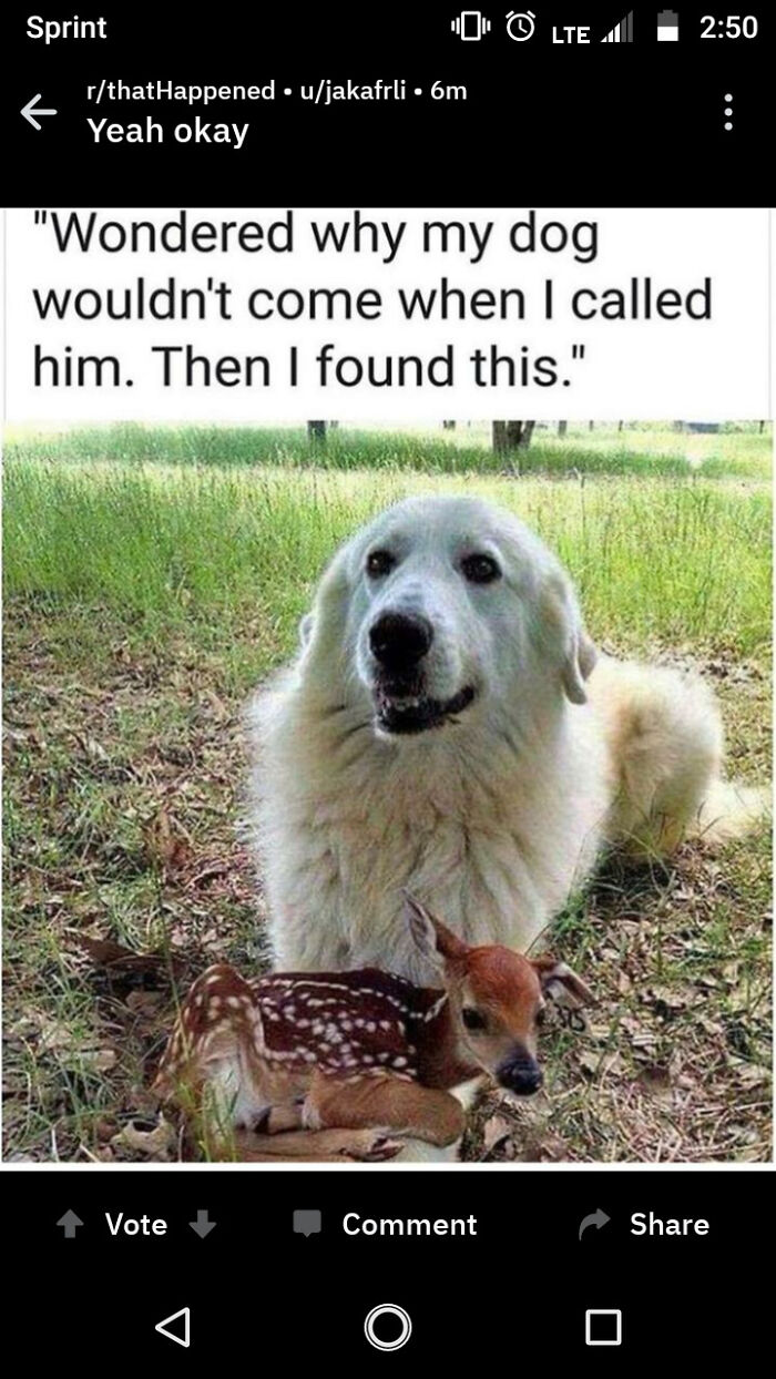 Because Adorable Stuff Like This Totally Doesn’t Happen in Real Life