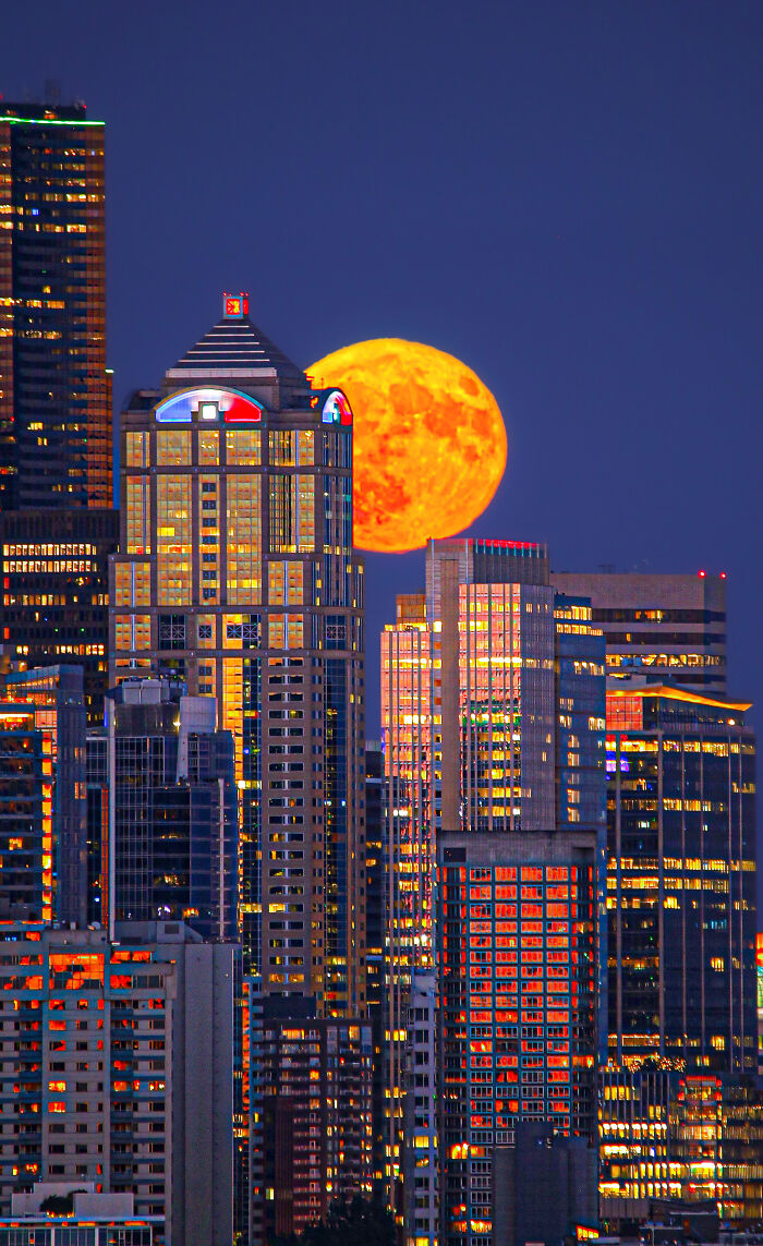 "Glowing Moonrise Over Seattle" By AJ Smadi