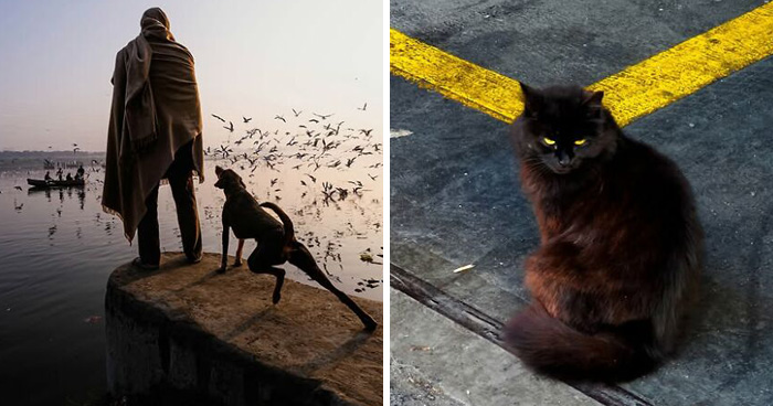 33 Photos That Prove This Photographer Sees Stories Everywhere!