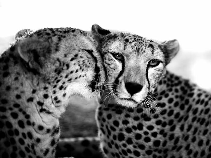 33 Photos That Prove This Photographer Sees Stories Everywhere!