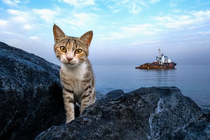 33 Photos That Prove This Photographer Sees Stories Everywhere!
