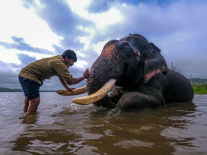 33 Photos That Prove This Photographer Sees Stories Everywhere!