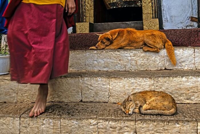 33 Photos That Prove This Photographer Sees Stories Everywhere!