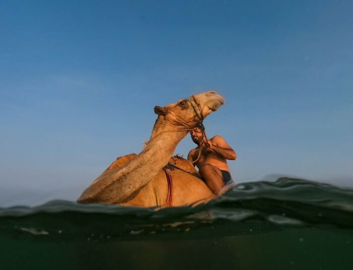 33 Photos That Prove This Photographer Sees Stories Everywhere!