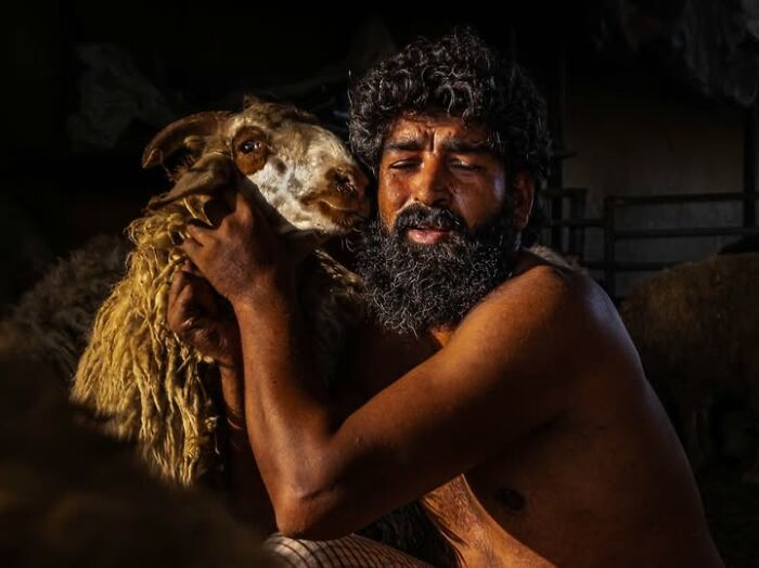 33 Photos That Prove This Photographer Sees Stories Everywhere!