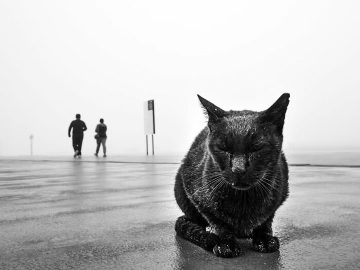 33 Photos That Prove This Photographer Sees Stories Everywhere!