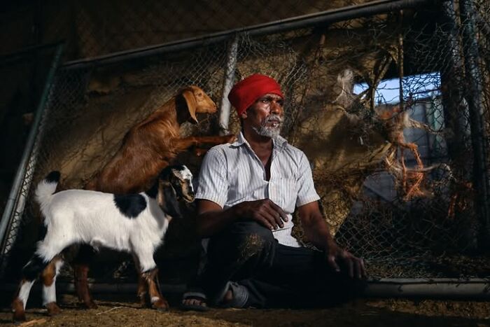 33 Photos That Prove This Photographer Sees Stories Everywhere!
