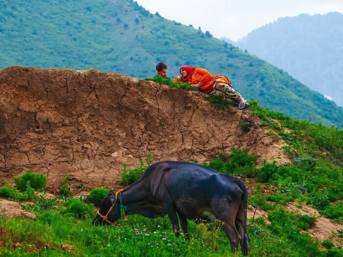 33 Photos That Prove This Photographer Sees Stories Everywhere!