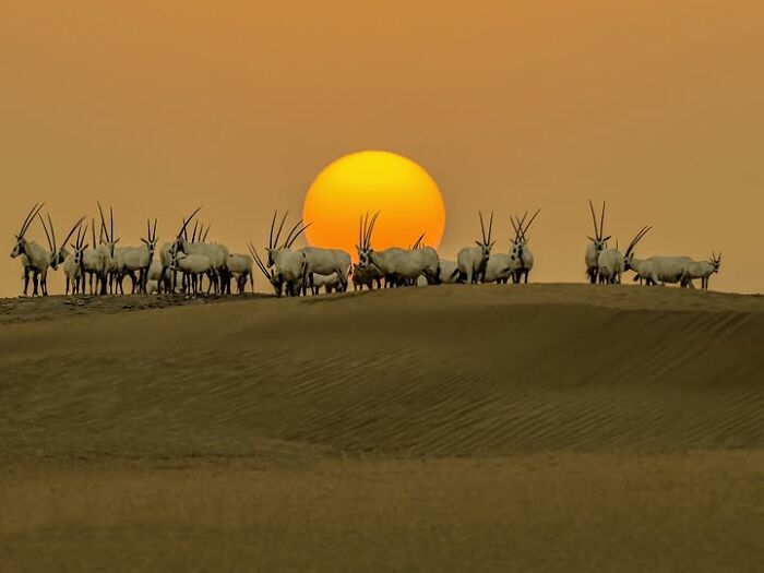 33 Photos That Prove This Photographer Sees Stories Everywhere!