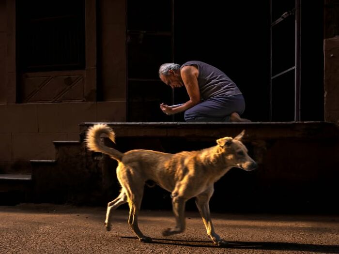 33 Photos That Prove This Photographer Sees Stories Everywhere!
