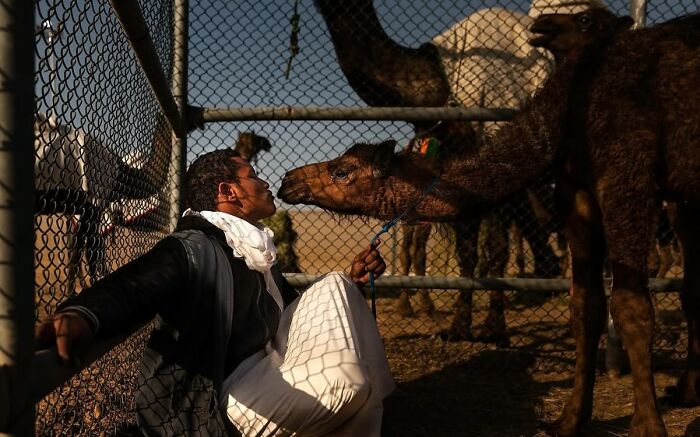 33 Photos That Prove This Photographer Sees Stories Everywhere!