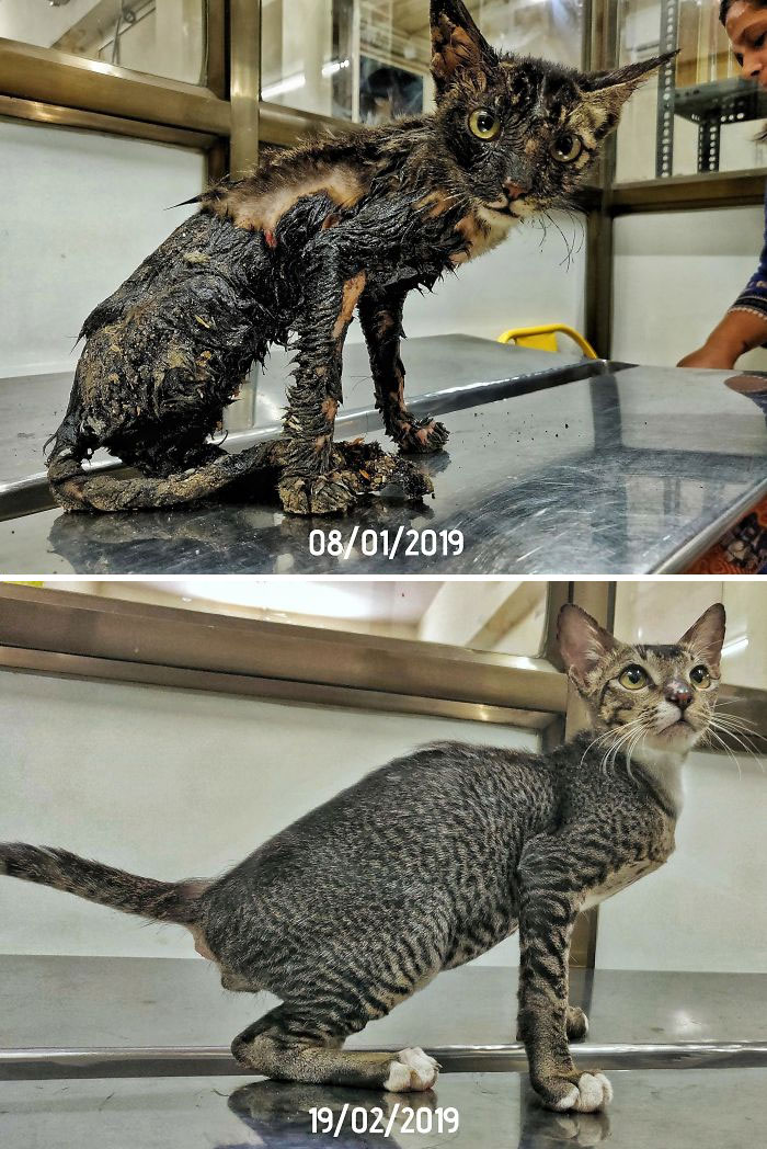 Phoenix: From Sticky Mess To Cuddle Prodigy