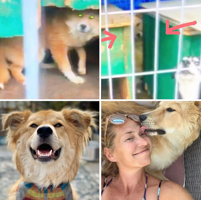 Leon: From Scaredy Cat To Confident Companion