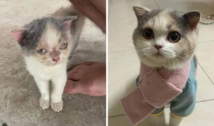 From Neglected To Over-the-Moon Happy