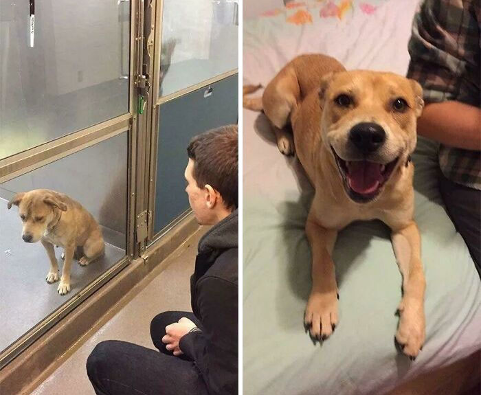 Before And After: A Total Glow-Up
