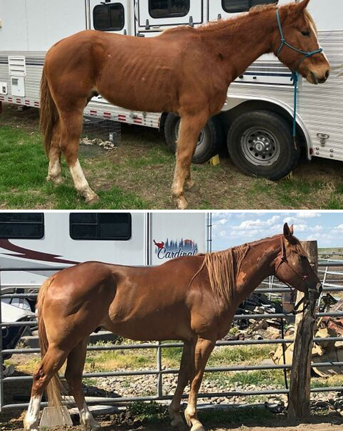 Fergus’s 3.5-Month Transformation