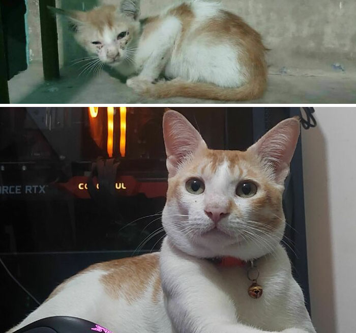 Cutu’s Birthday Glow-Up