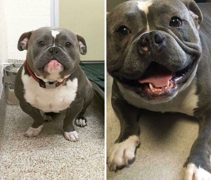 Frank’s Happy Ending