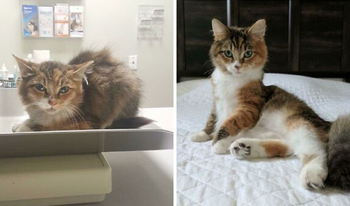 Lilly’s Year-Long Glow-Up