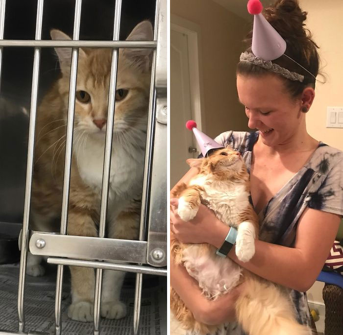 Sela: From Flea-Ridden Stray To Party Animal