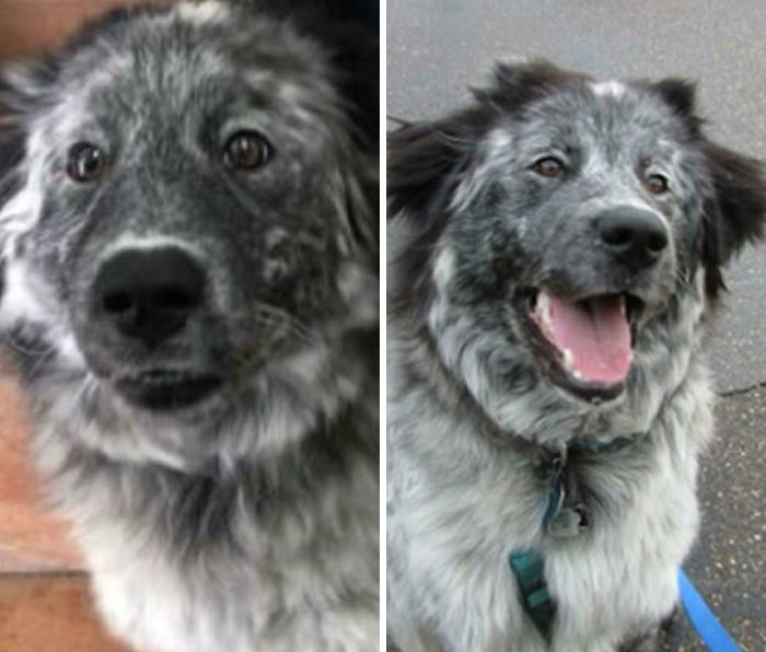 From Shy To Shell-Free