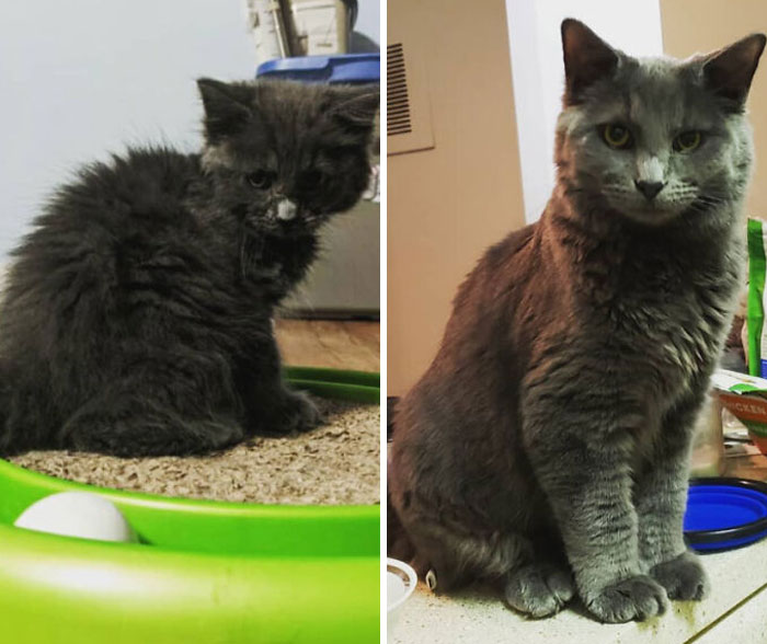 Crusty Boi’s Big Makeover