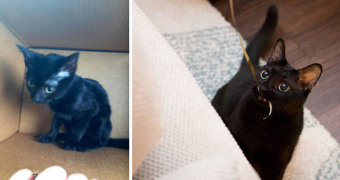 Reluctant Rescue Turns Heartthrob