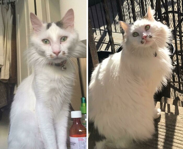A Year In, Totally Different Vibes