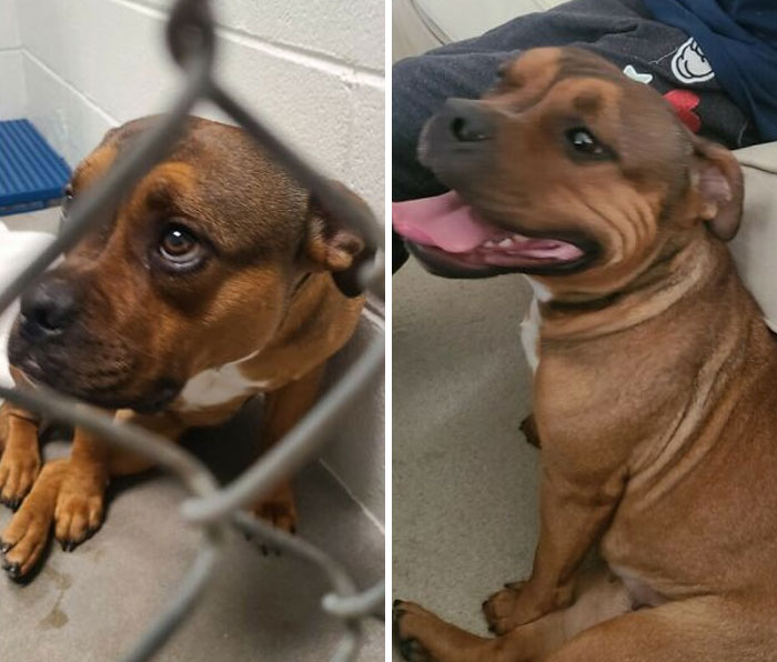 Meet Dixie, The Makeover Star